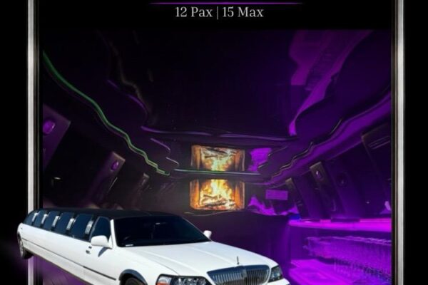 Tuxedo stretch limousine rear - Phoenix Professional Car Service