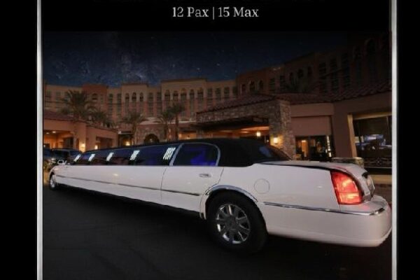 Tuxedo stretch limousine interior - Phoenix Professional Car Service